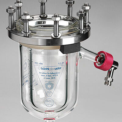 Type 1 glass pressure reactor